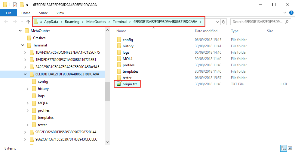 File Explorer